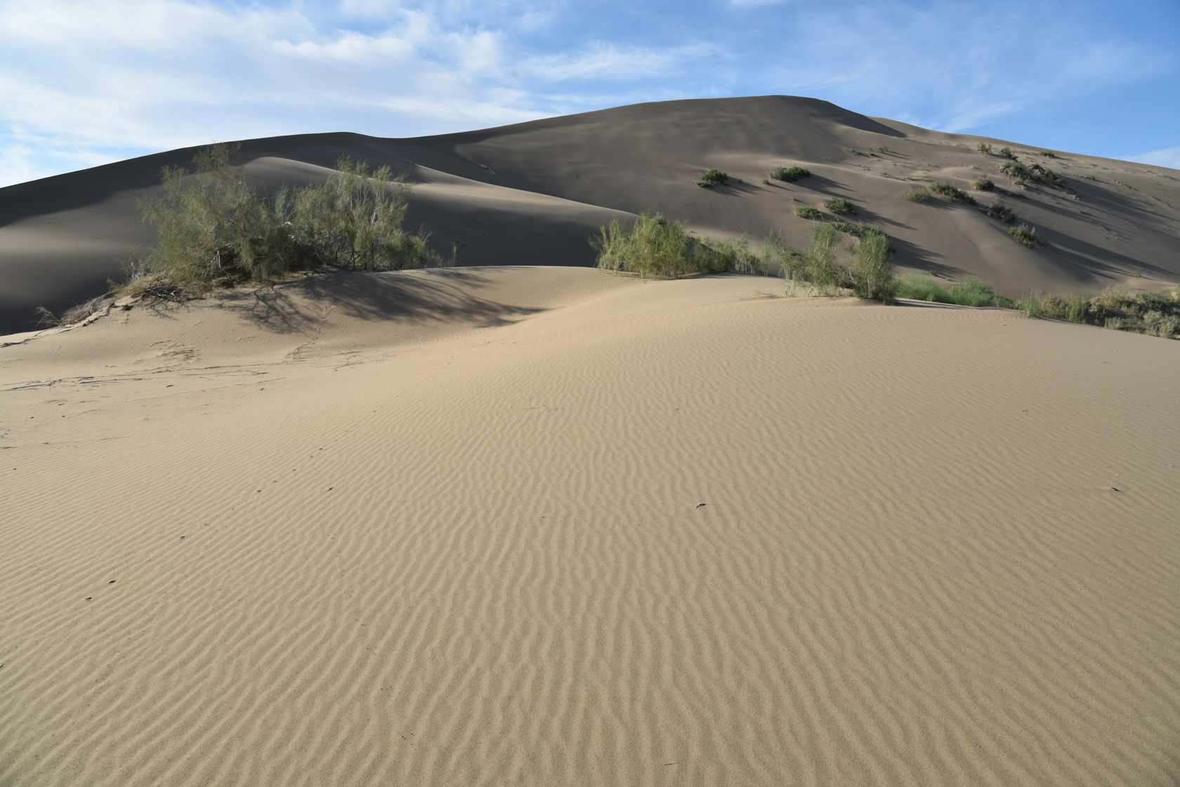 Айгайкум (Поющий бархан), image of landscape/habitat.