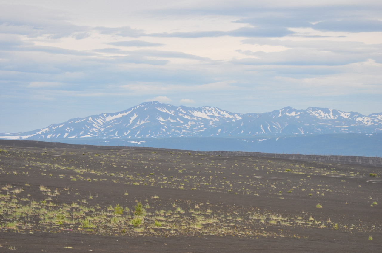 Толбачинский дол, image of landscape/habitat.