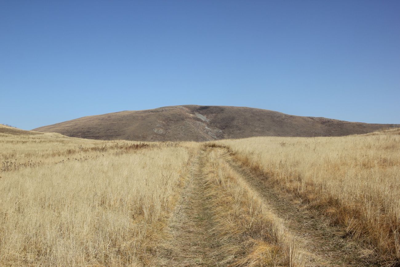 Урочище Cело Георгицминда, image of landscape/habitat.