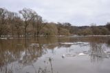 Окрестности деревни Сатино, image of landscape/habitat.