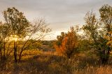 Кольцовская Воложка, image of landscape/habitat.