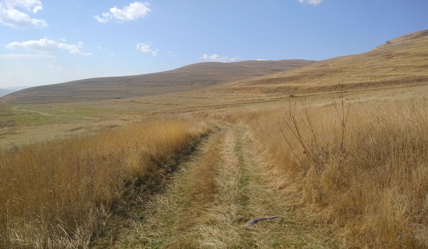 Урочище Cело Георгицминда, image of landscape/habitat.