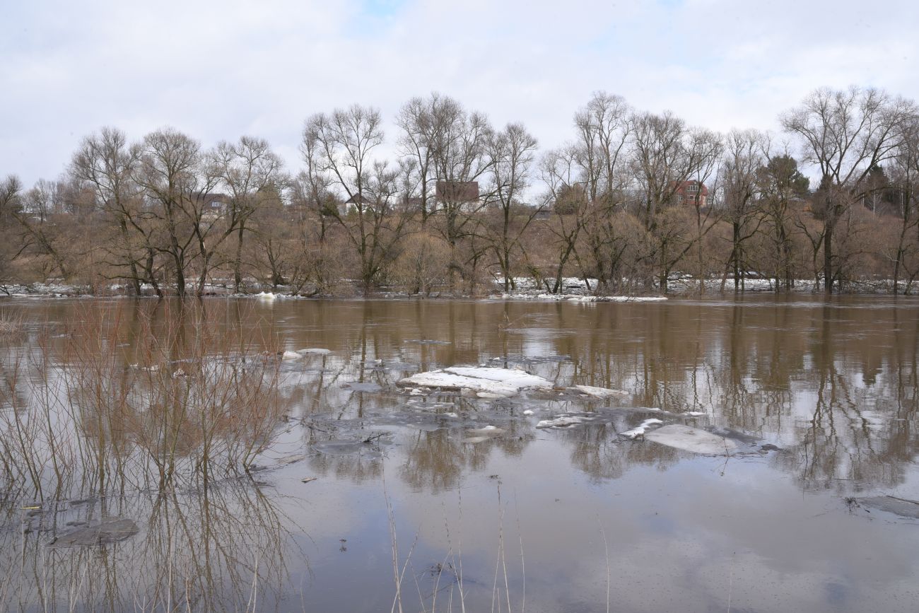 Окрестности деревни Дедюевка, image of landscape/habitat.