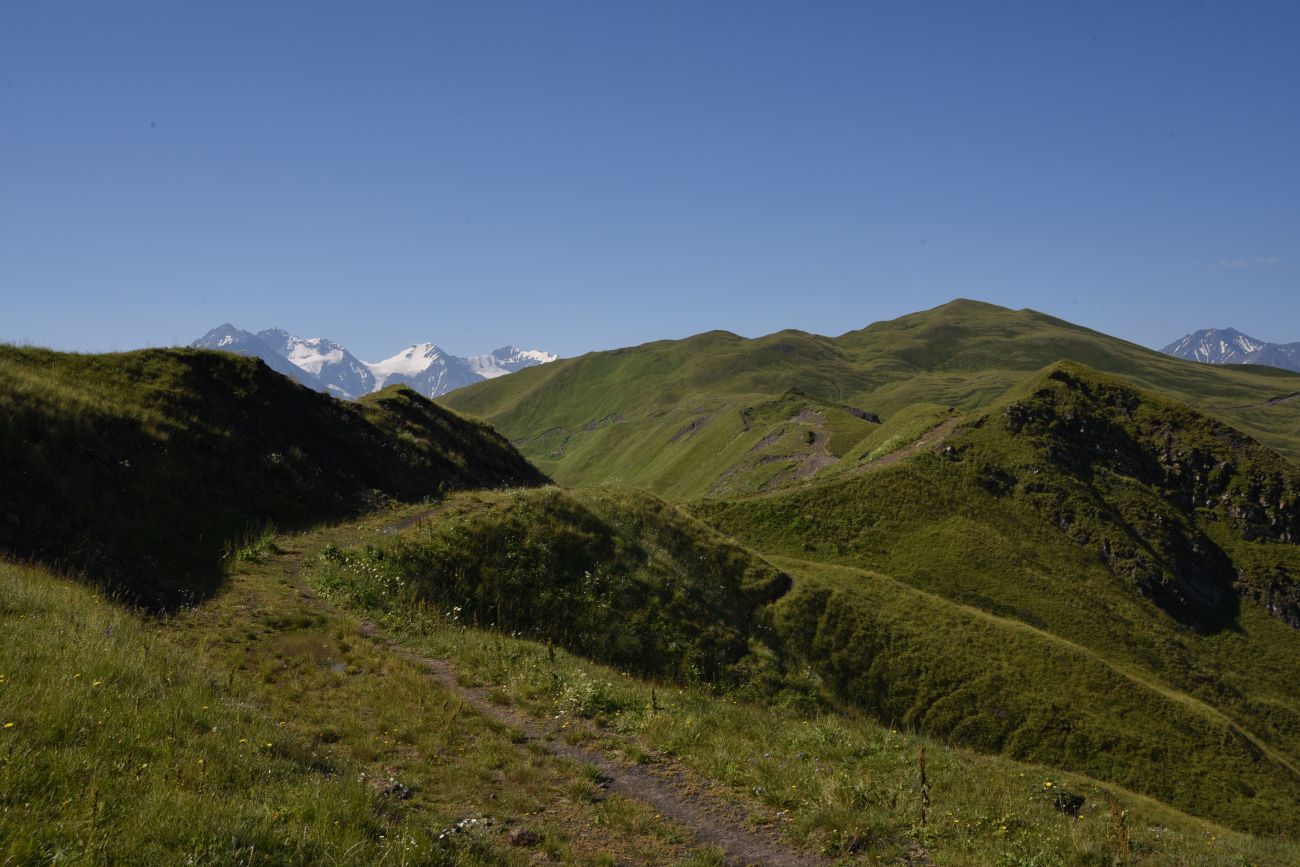 Окрестности горы Чархунышкорт, image of landscape/habitat.