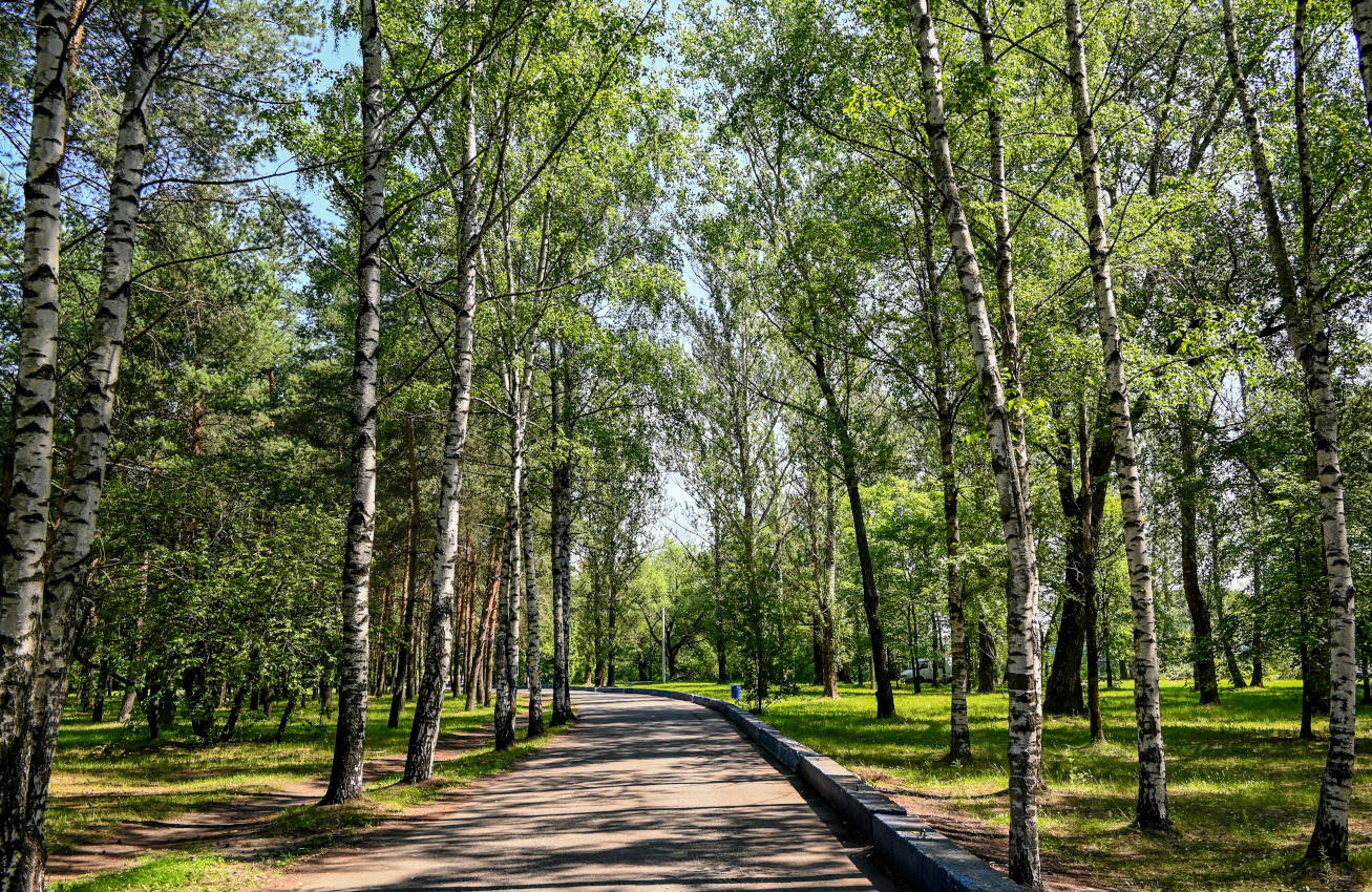 Ярославль, image of landscape/habitat.