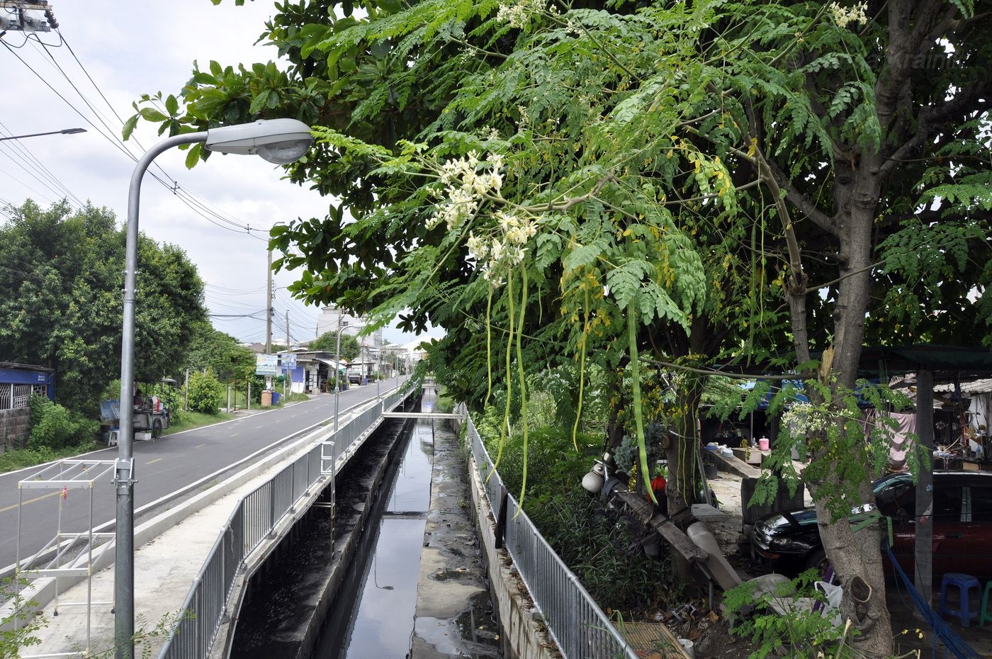 Донмыанг (Don Mueang), image of landscape/habitat.