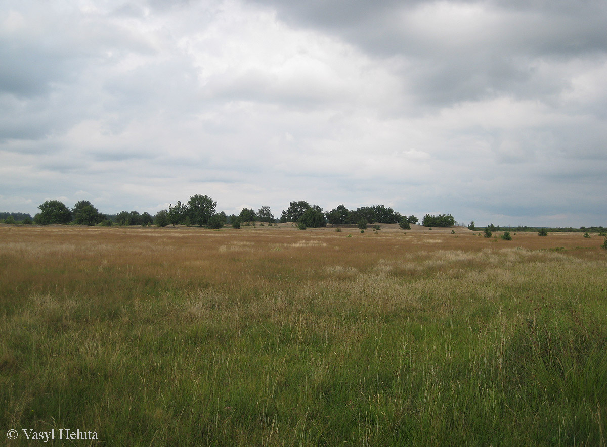 Озеро Святое, image of landscape/habitat.