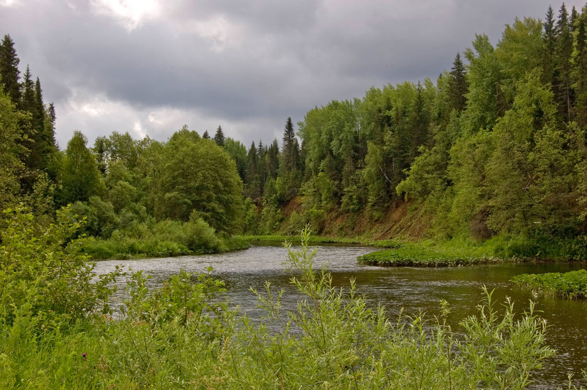 Долина реки Барда, image of landscape/habitat.