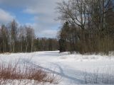 Павловск, image of landscape/habitat.