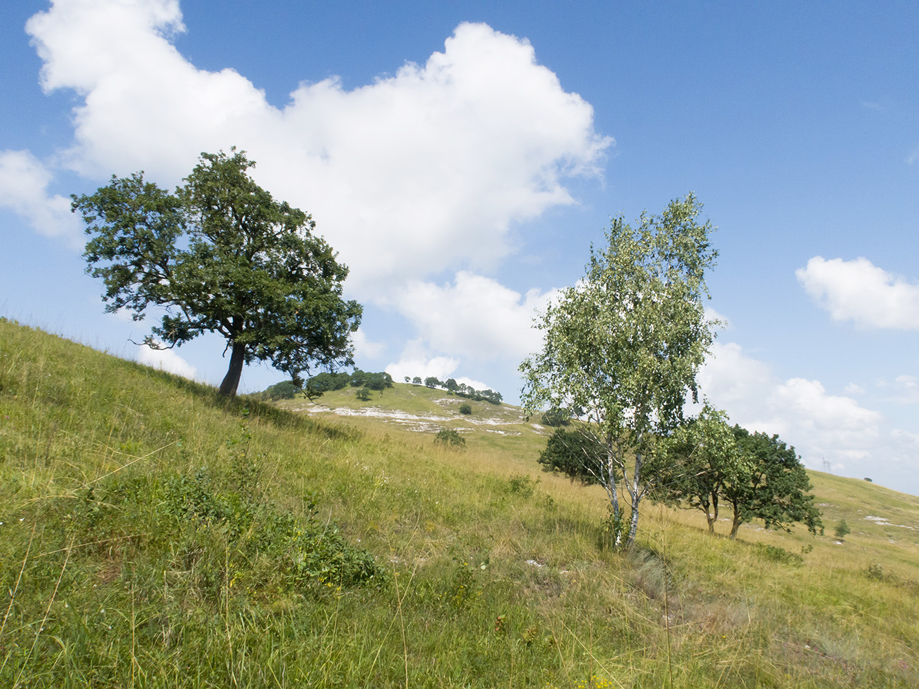 Герпегем, image of landscape/habitat.