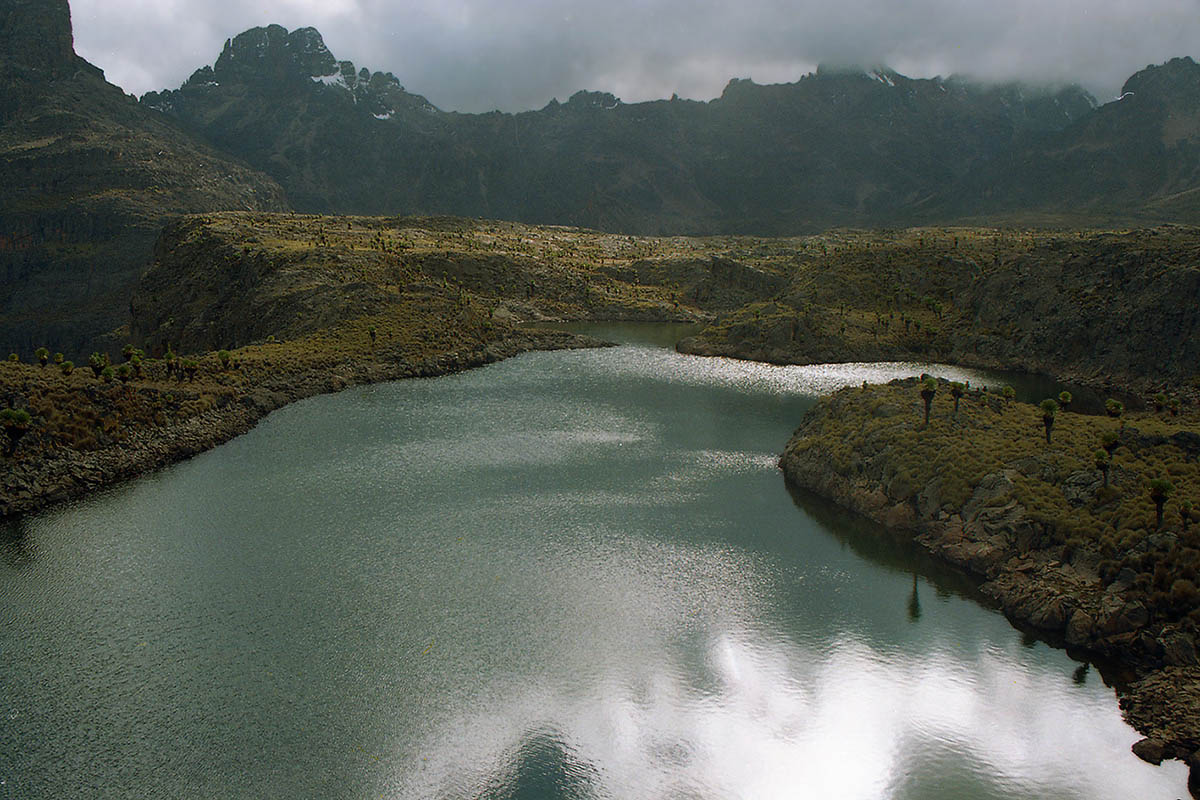 Гора Кения, image of landscape/habitat.