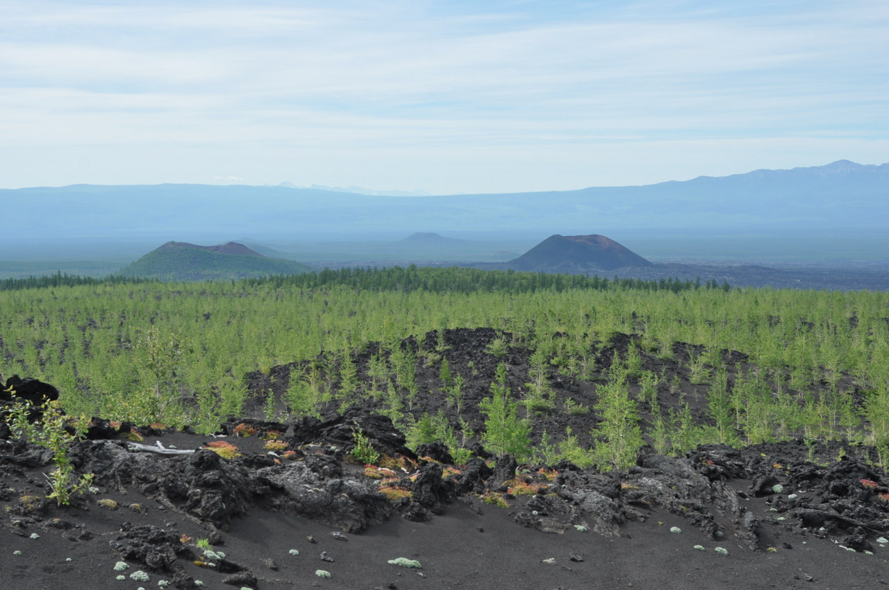 Толбачинский дол, image of landscape/habitat.