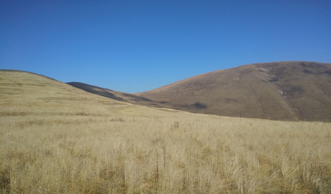 Урочище Cело Георгицминда, image of landscape/habitat.