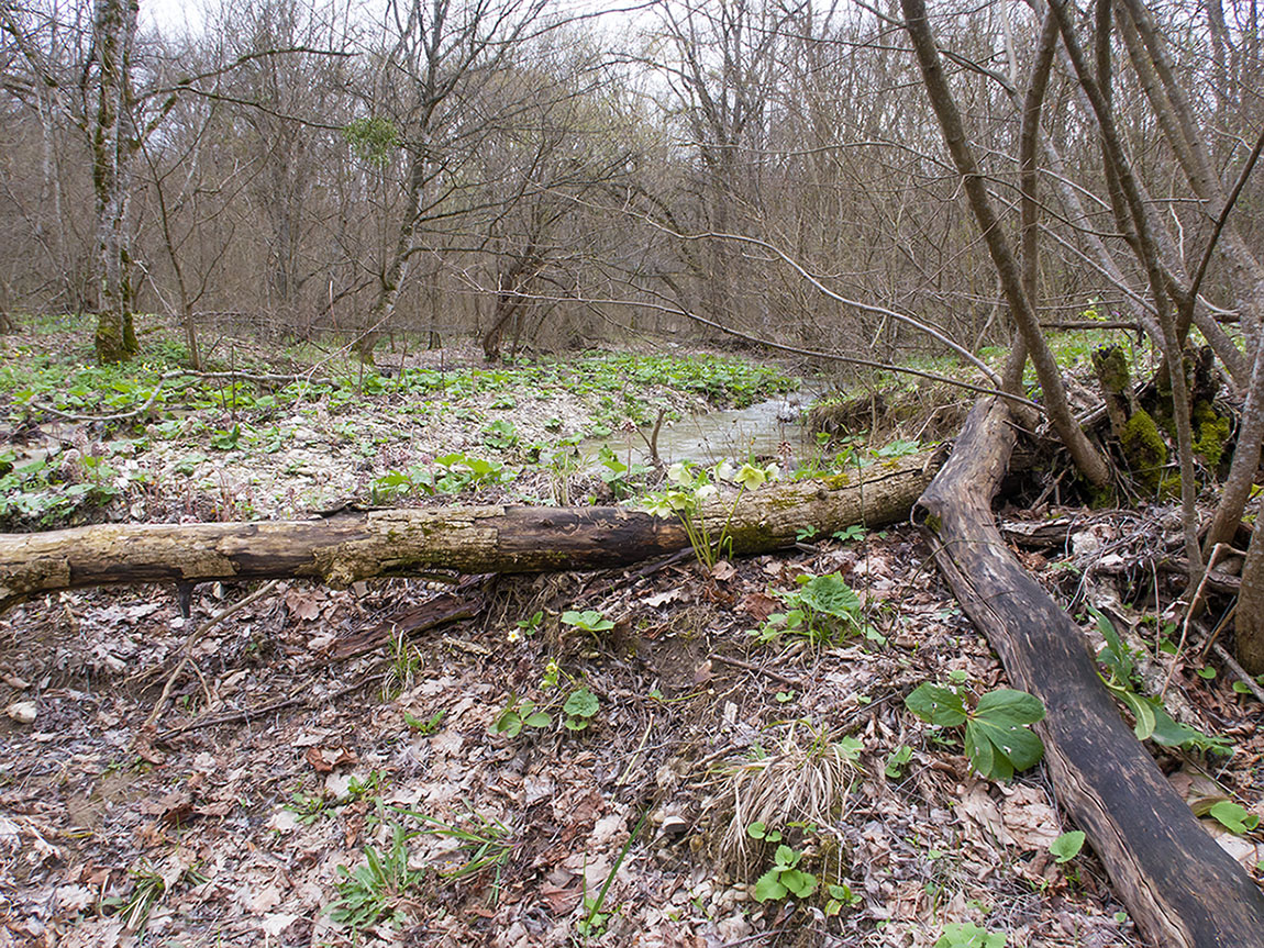 Темрючки, image of landscape/habitat.