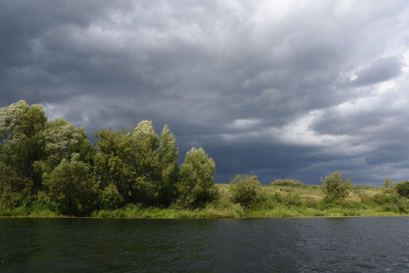 Красная Заря, image of landscape/habitat.