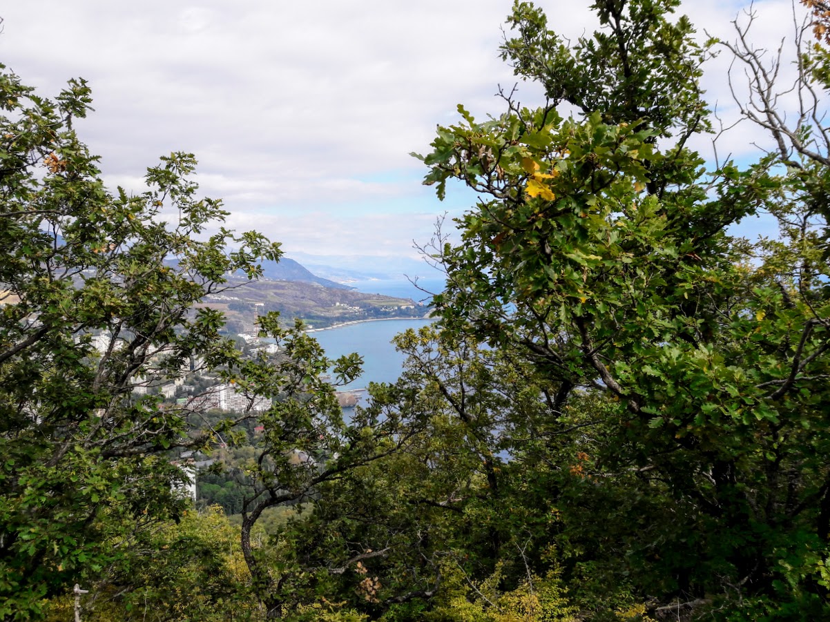 Аюдаг, image of landscape/habitat.