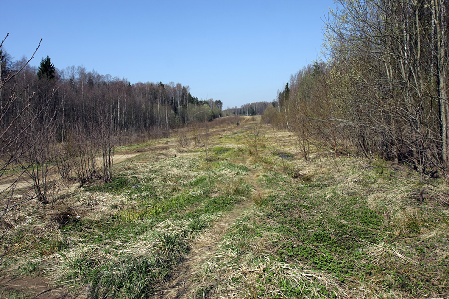 Окрестности Сертолово, изображение ландшафта.