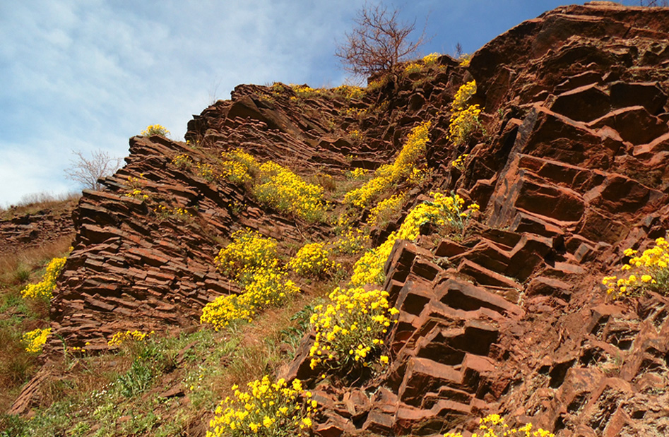 Сланцевые скалы, image of landscape/habitat.