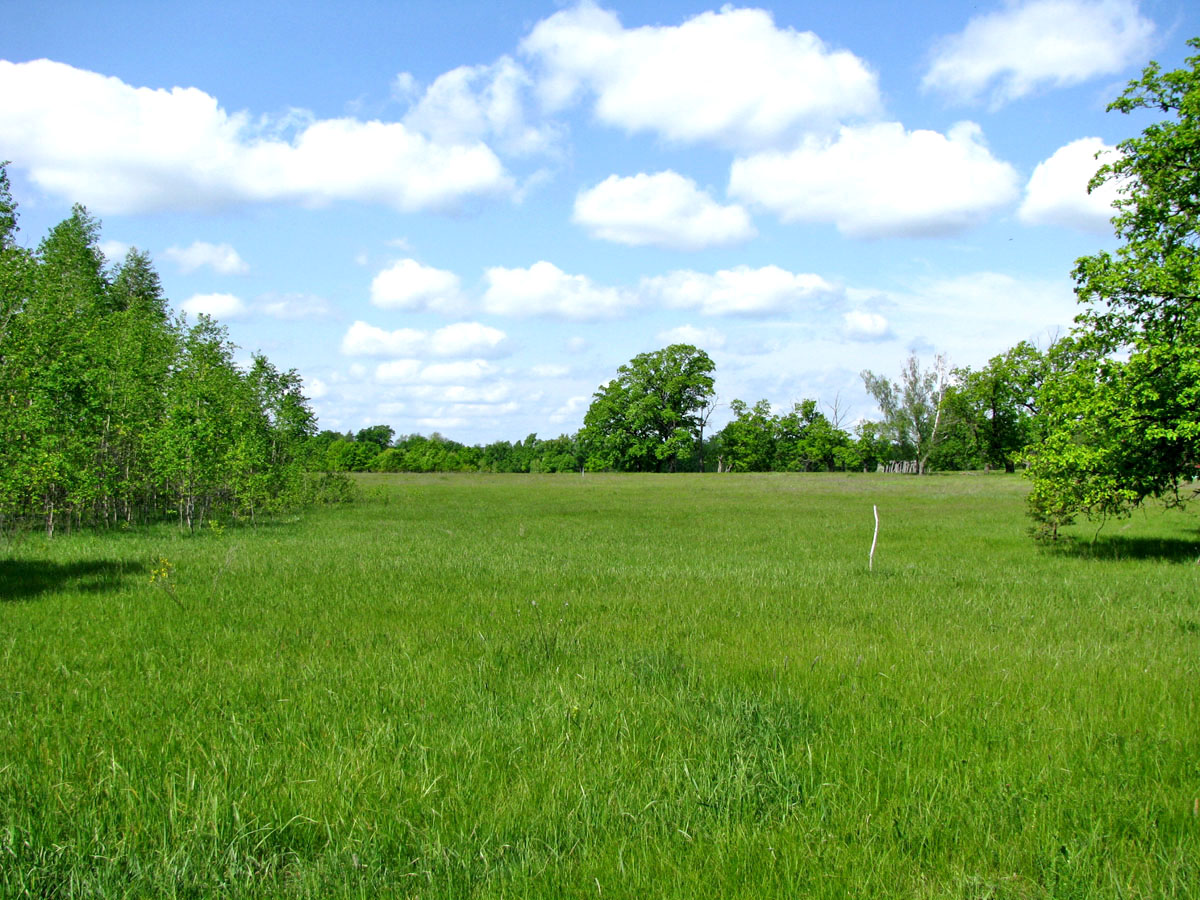 Окский заповедник, image of landscape/habitat.