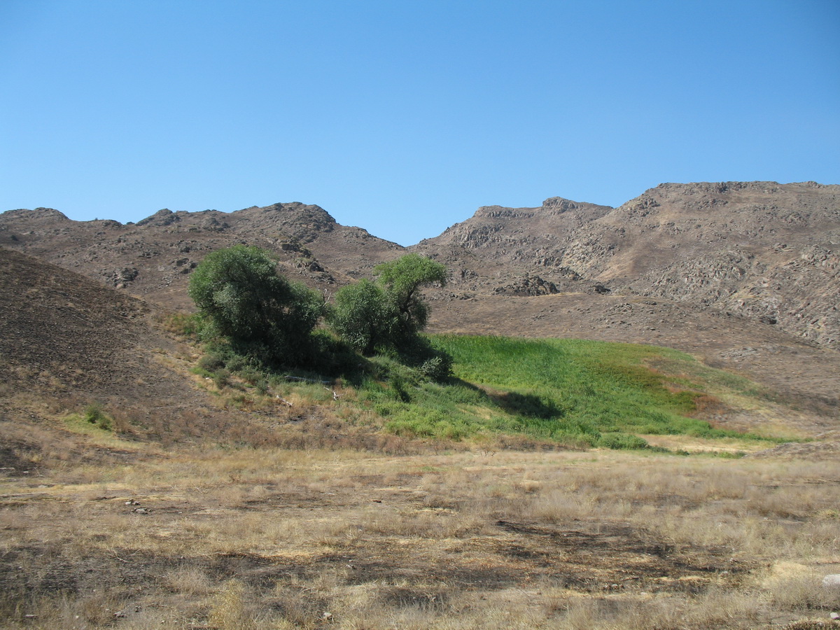 Родник Карабастау, image of landscape/habitat.