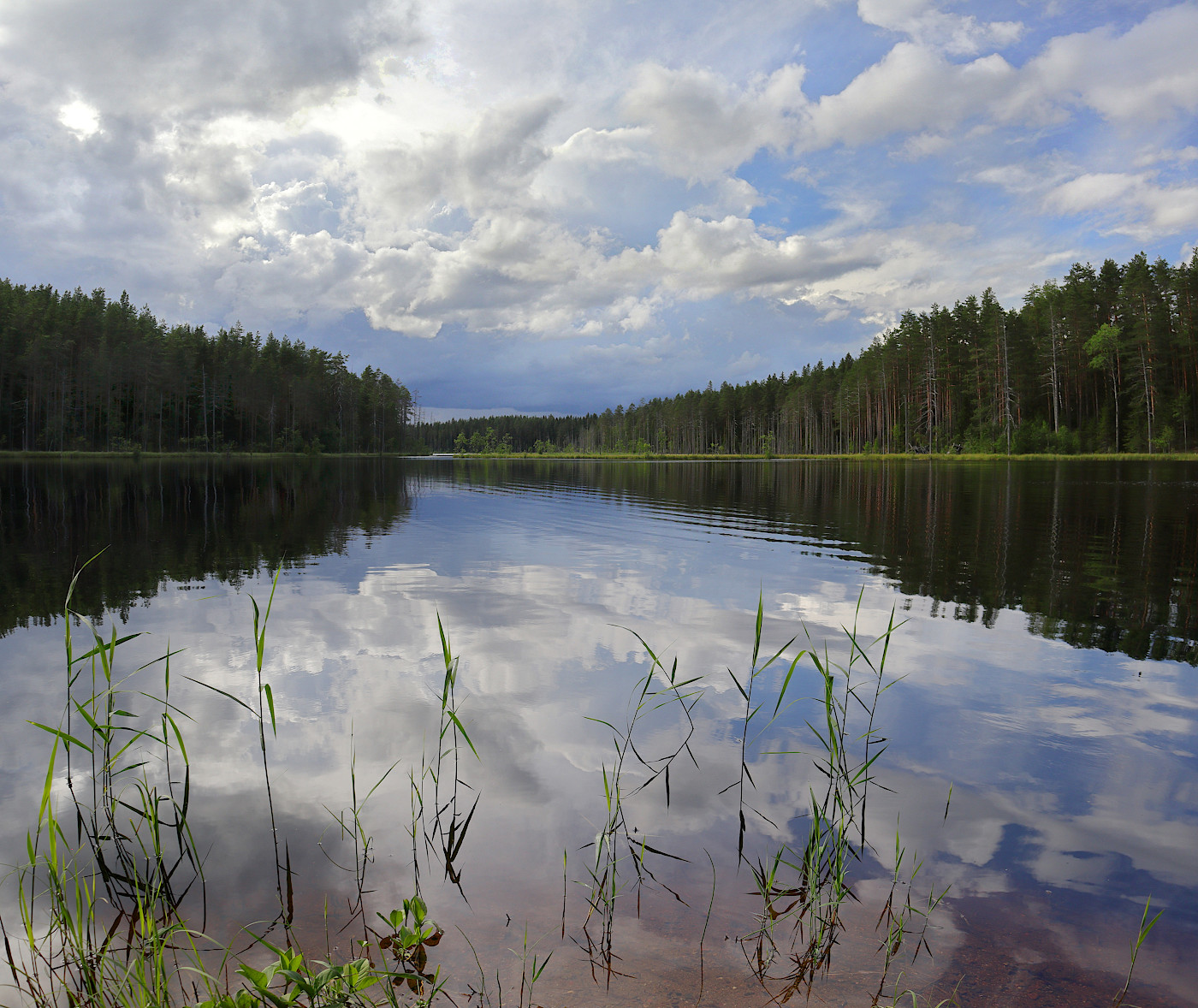 Озеро днико псковская область фото