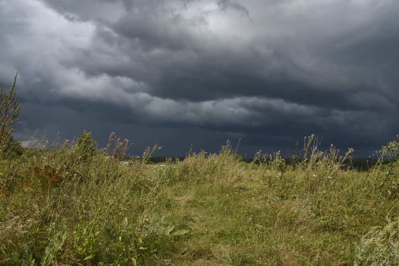 Красная Заря, image of landscape/habitat.