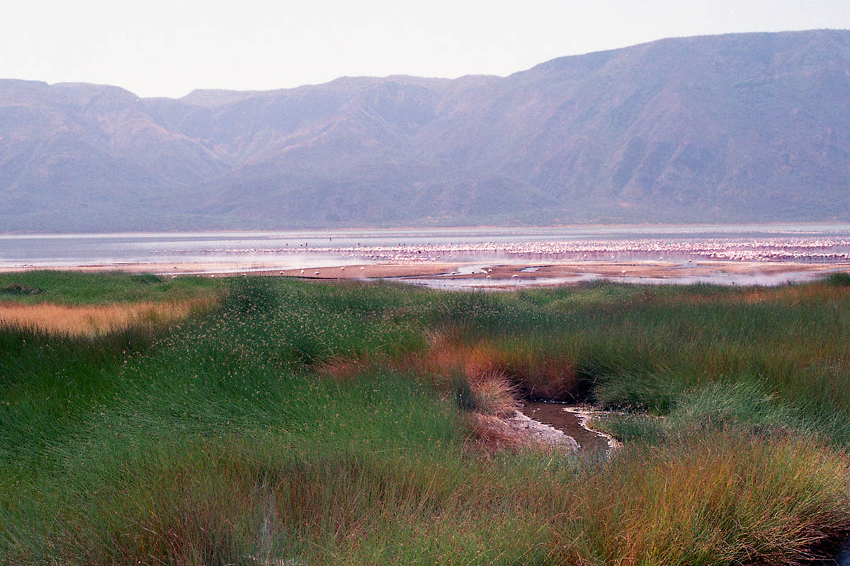 Озеро Богория, image of landscape/habitat.