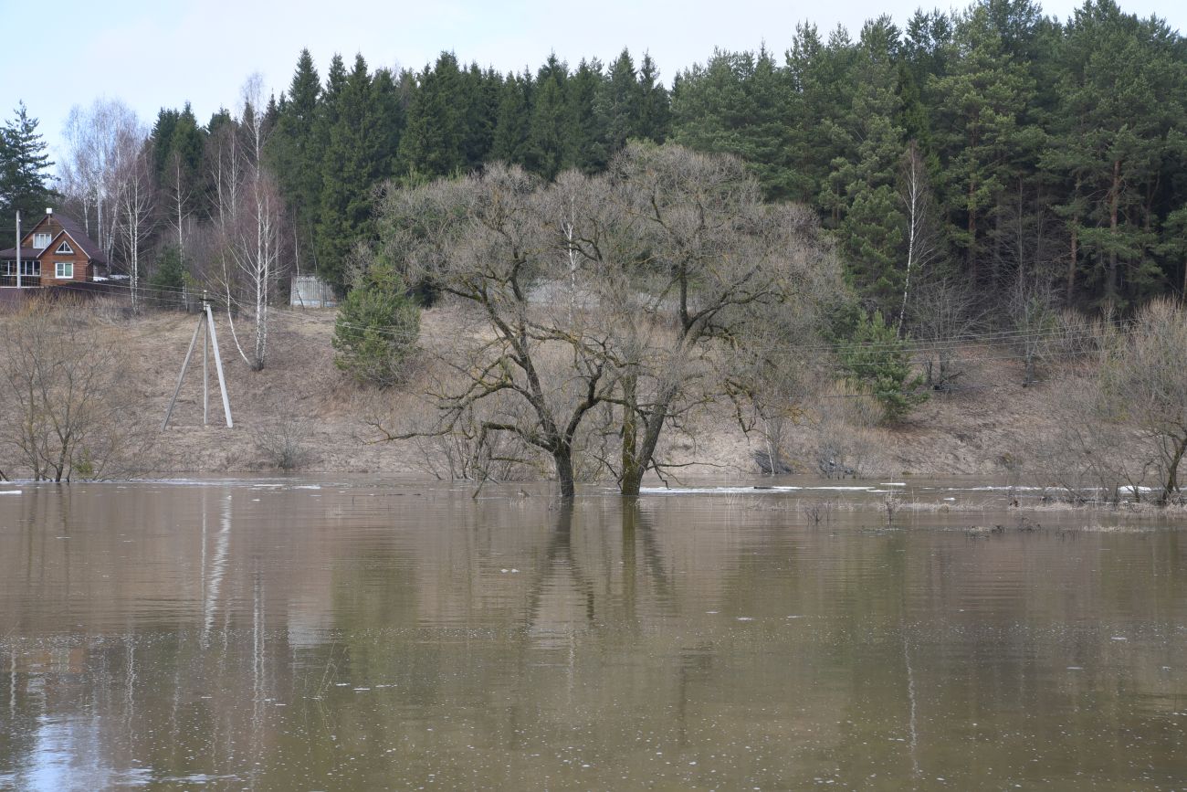 Окрестности деревни Дедюевка, image of landscape/habitat.