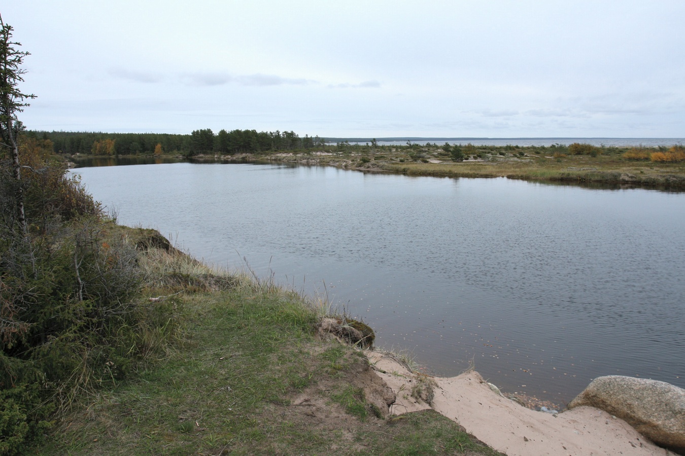 Вешнаволок, image of landscape/habitat.