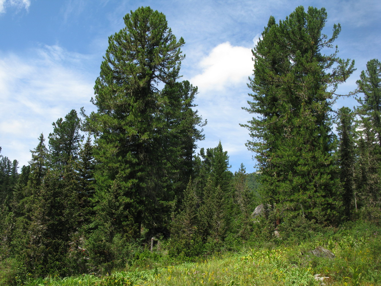 Озеро Тушканчик, image of landscape/habitat.