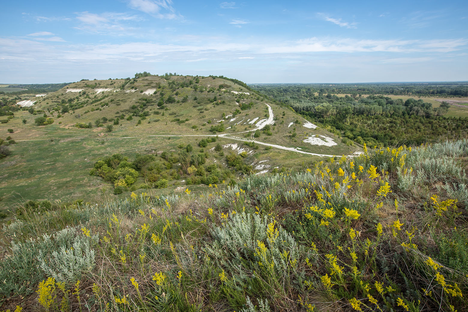 Окрестности хутора Стоговский, image of landscape/habitat.