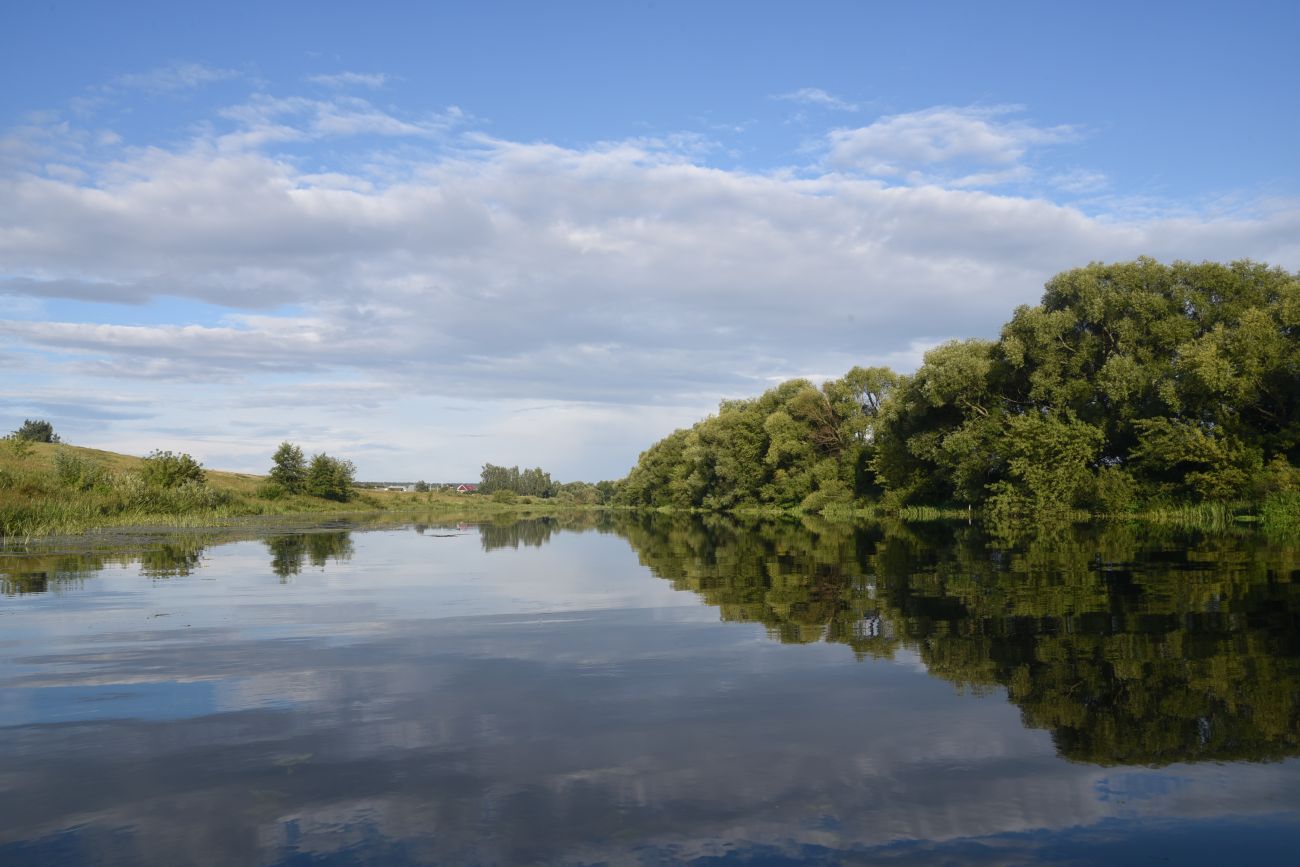 Окрестности села Долгое, image of landscape/habitat.