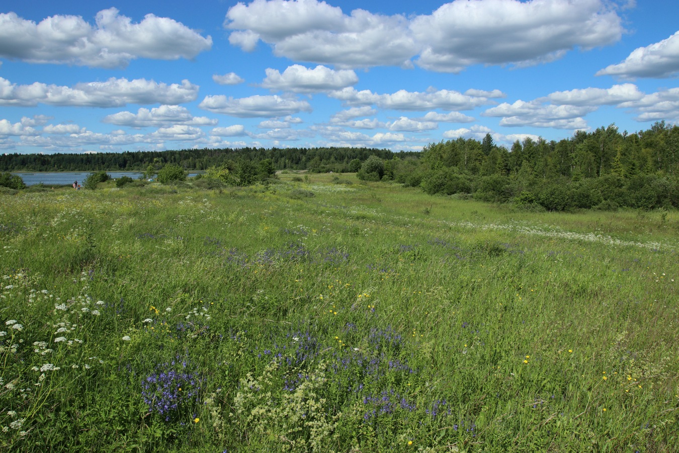 Кюрлевский карьер, image of landscape/habitat.