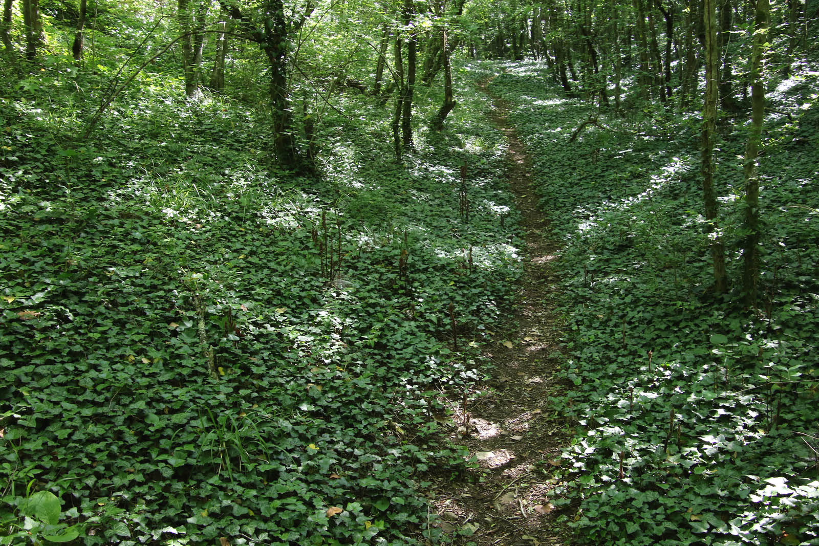 Озеро Сукко и его окрестности, image of landscape/habitat.