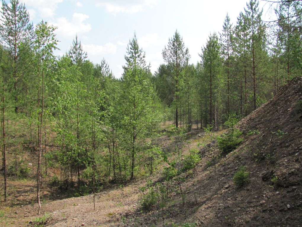 Долина реки Вель, image of landscape/habitat.