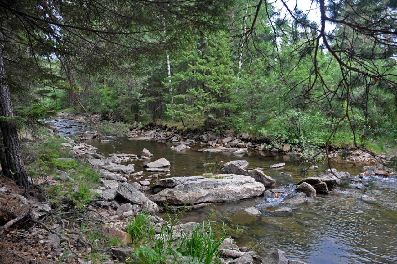 Долина реки Тюлюк, image of landscape/habitat.