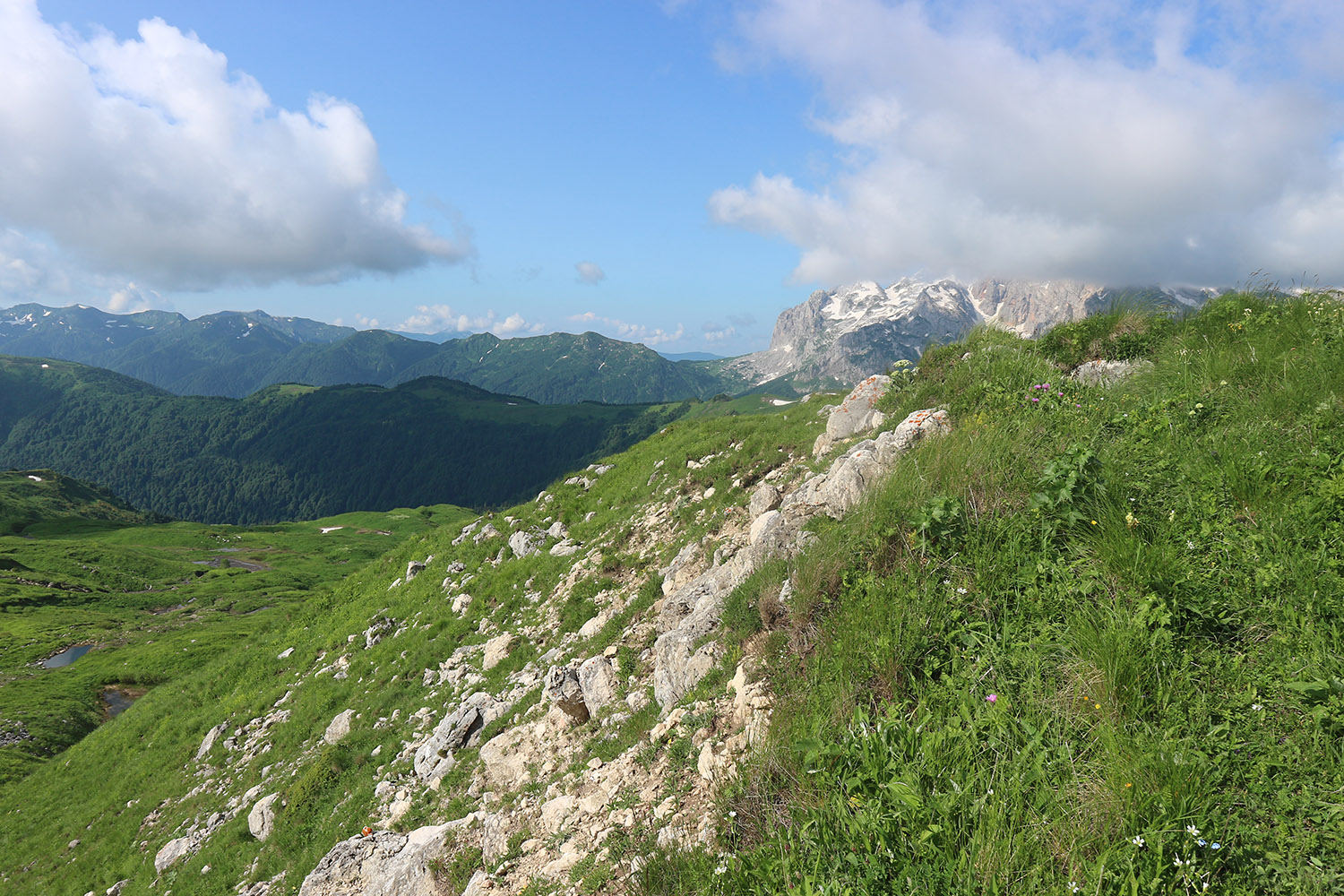 Южный склон горы Гузерипль, изображение ландшафта.