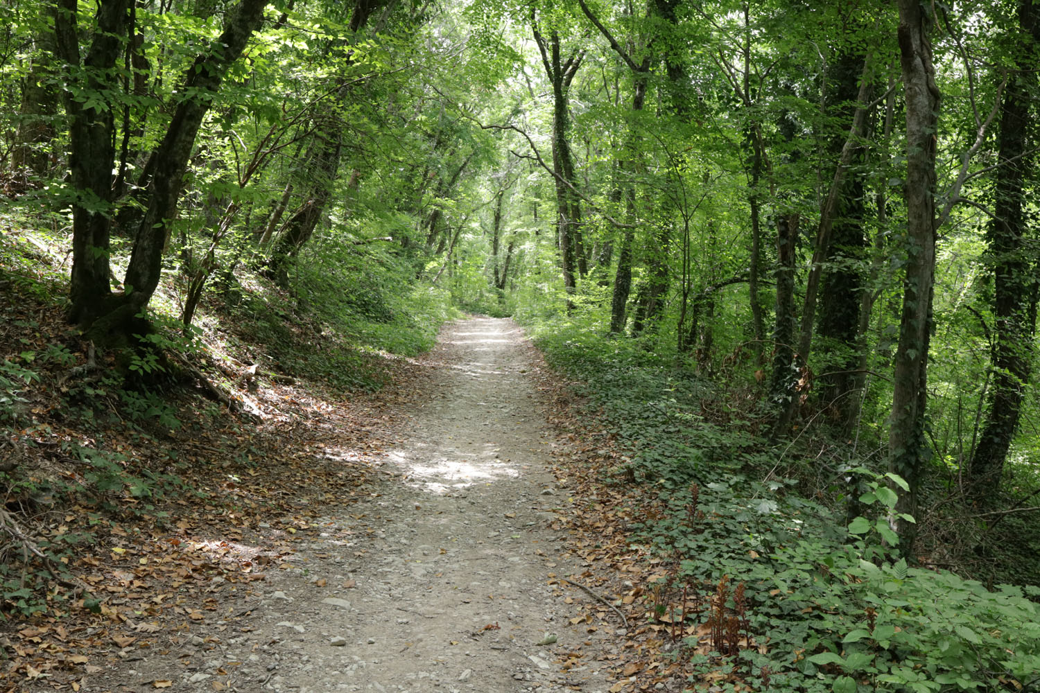 Глебовка, image of landscape/habitat.