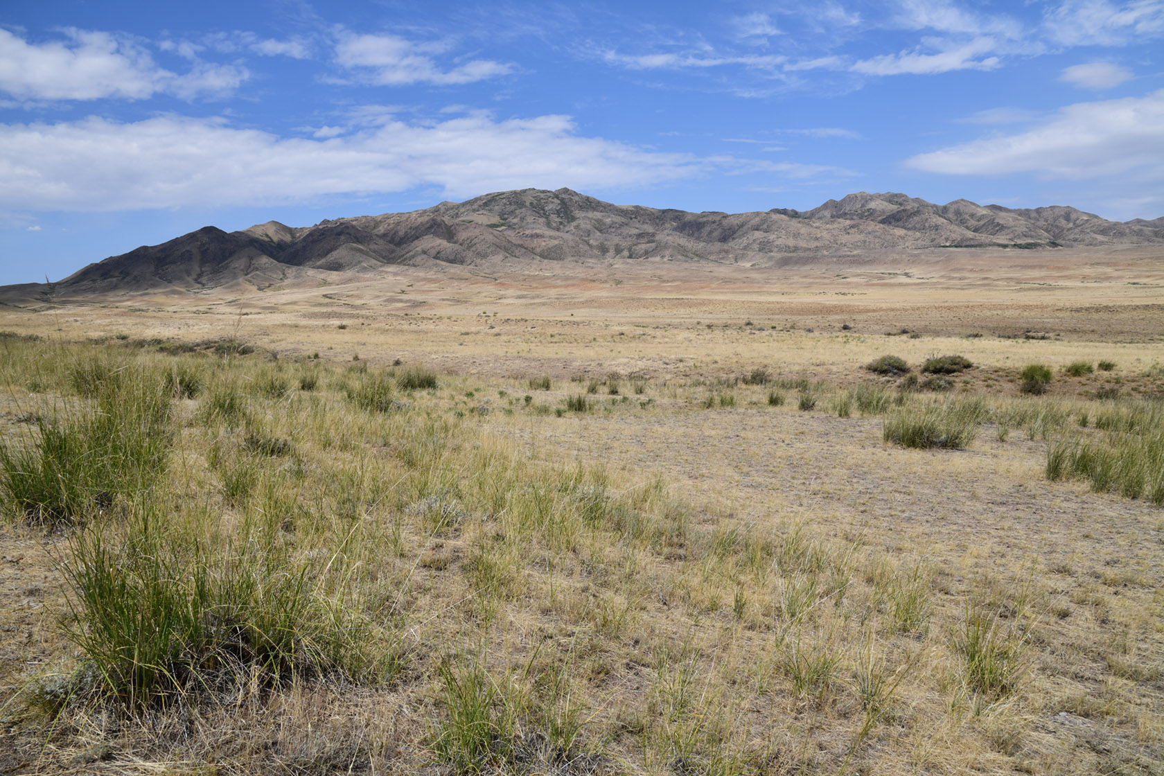 Горы Улькен-Богуты, image of landscape/habitat.