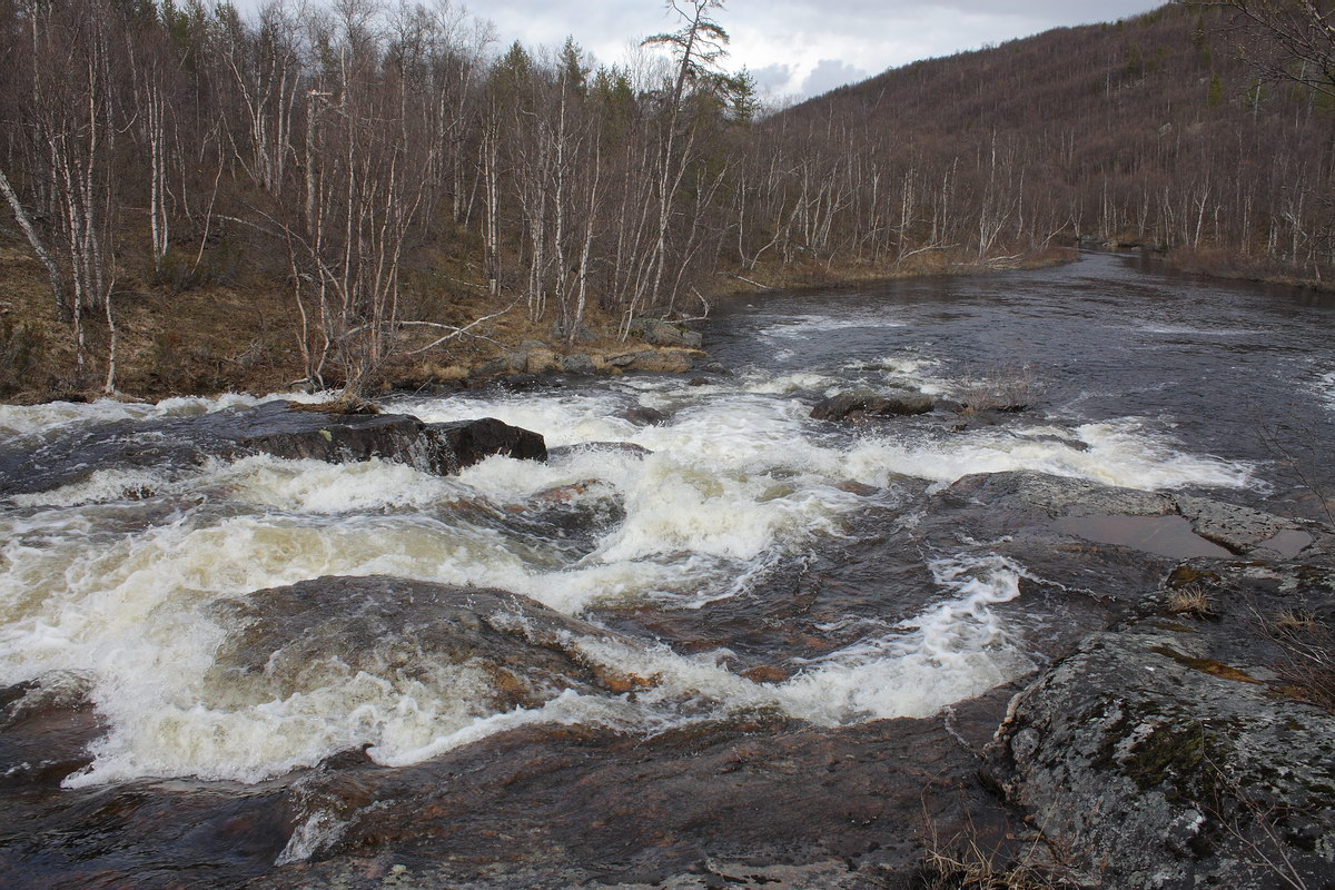 Лавна, image of landscape/habitat.