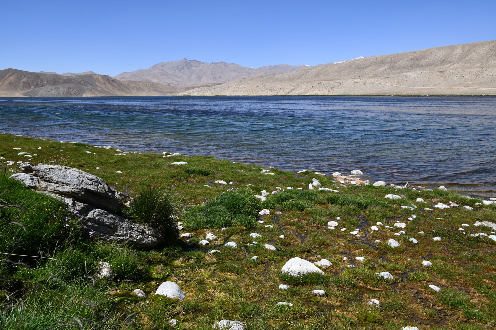 Булункуль, image of landscape/habitat.