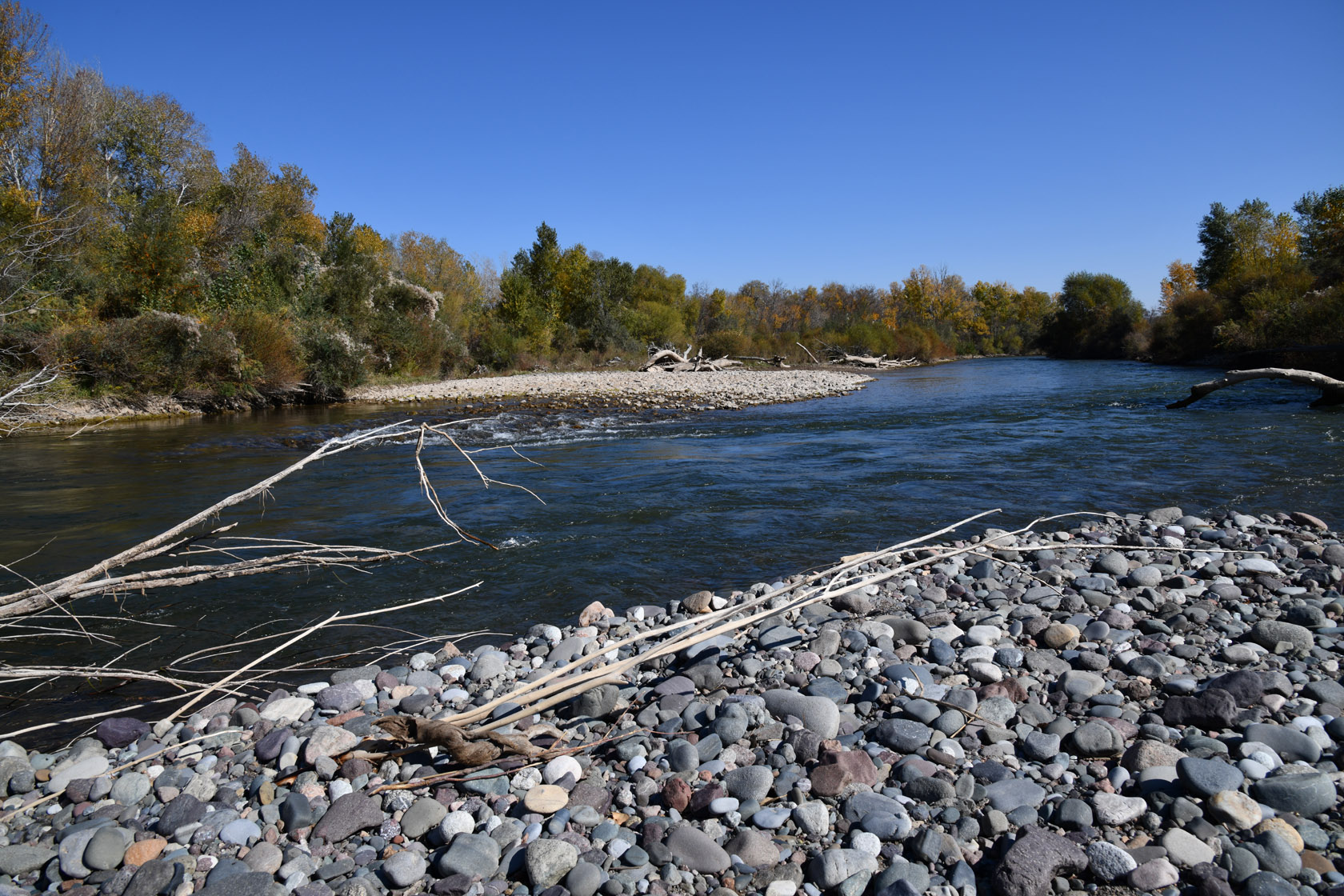 Сарытогай (Ясеневая роща), image of landscape/habitat.