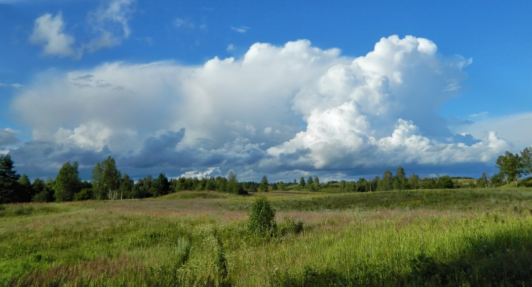 Жарь, image of landscape/habitat.