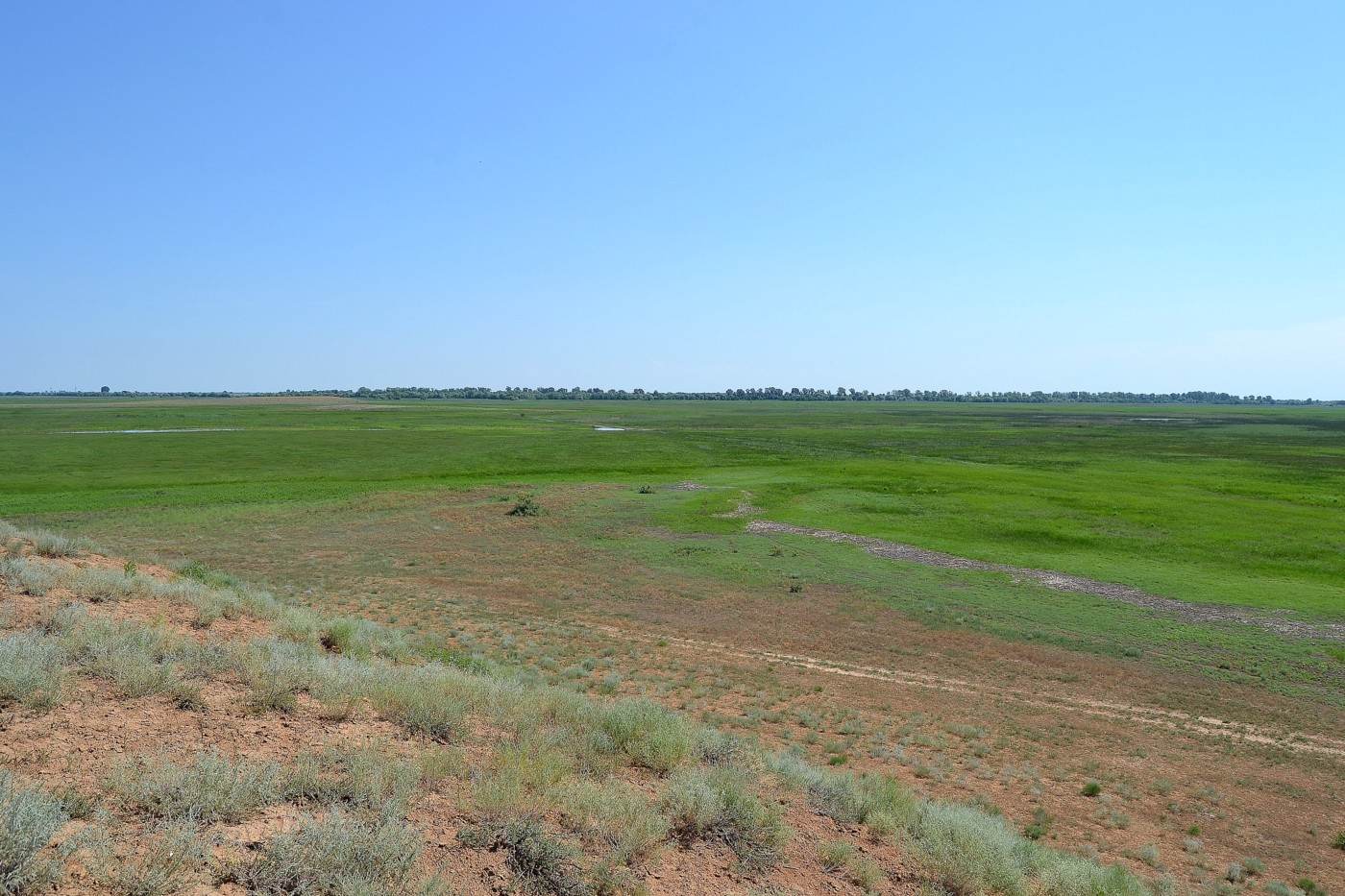 Ямное, image of landscape/habitat.