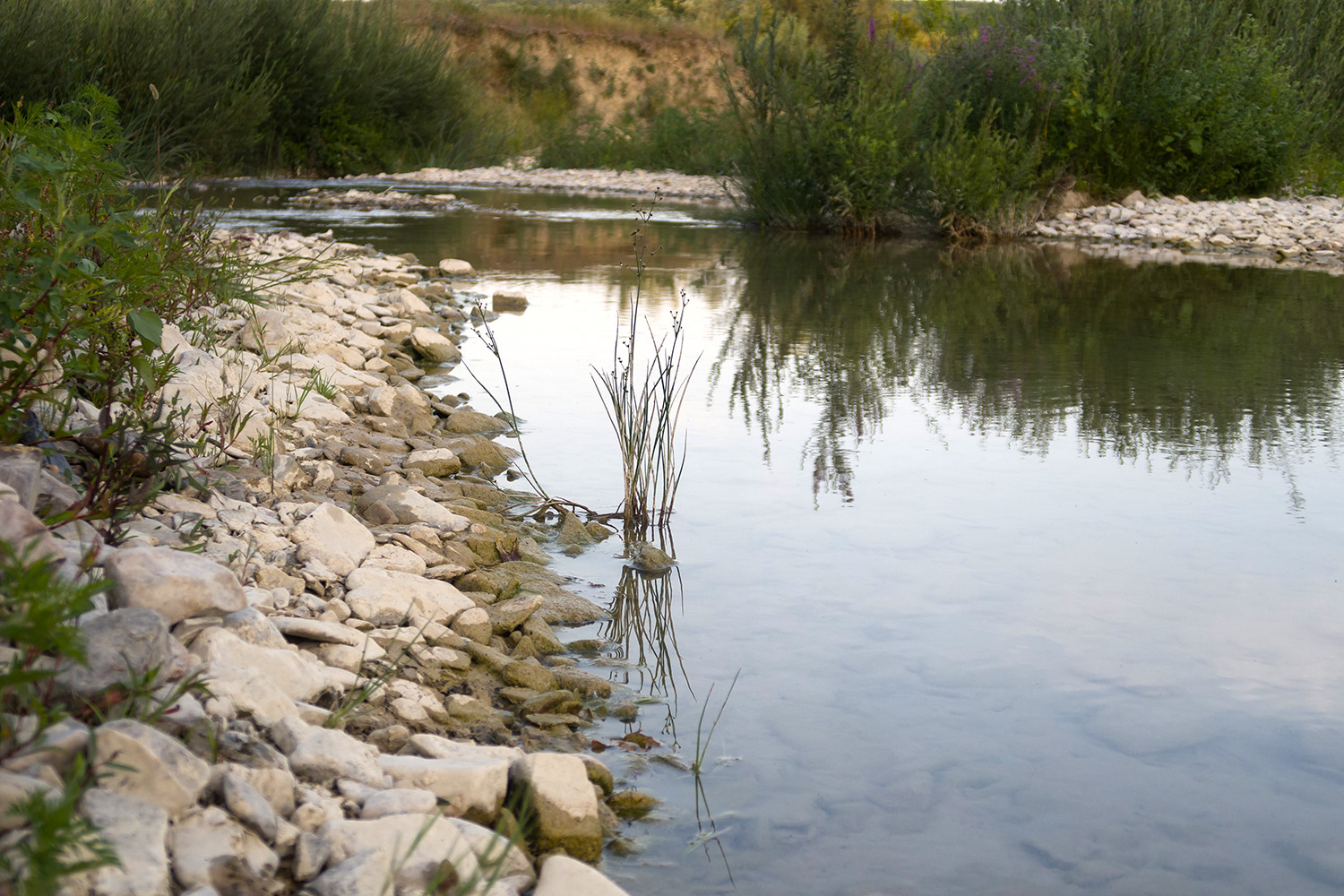 Река Неберджай, image of landscape/habitat.