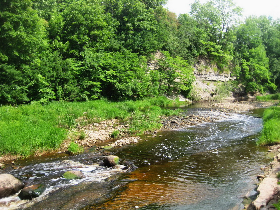 Каньон реки Лава, image of landscape/habitat.