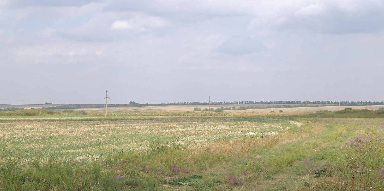 Станица Шкуринская, image of landscape/habitat.