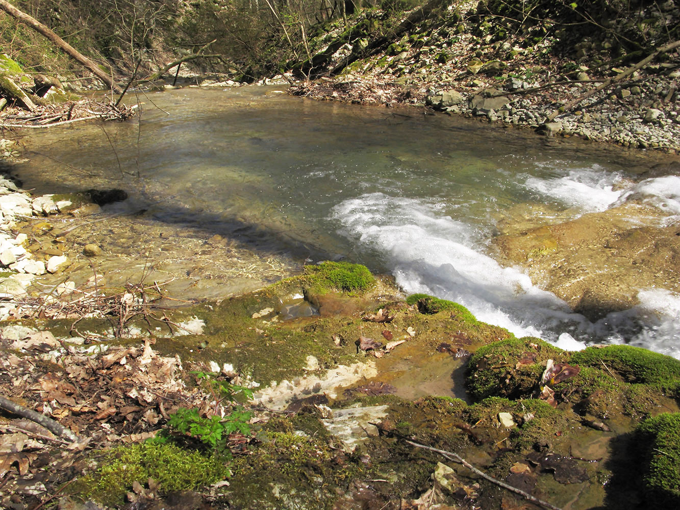 Щель Постакиевская, image of landscape/habitat.