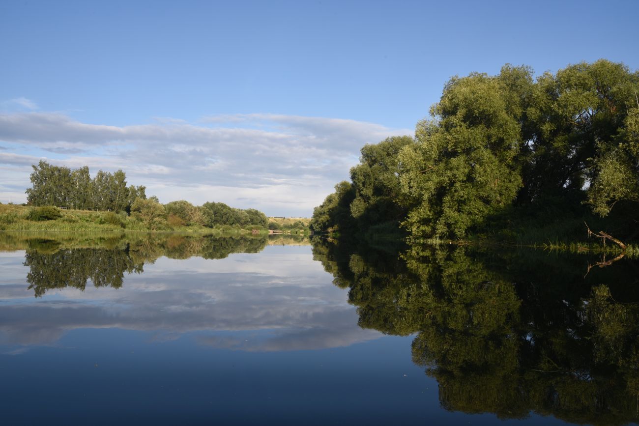 Окрестности села Долгое, image of landscape/habitat.