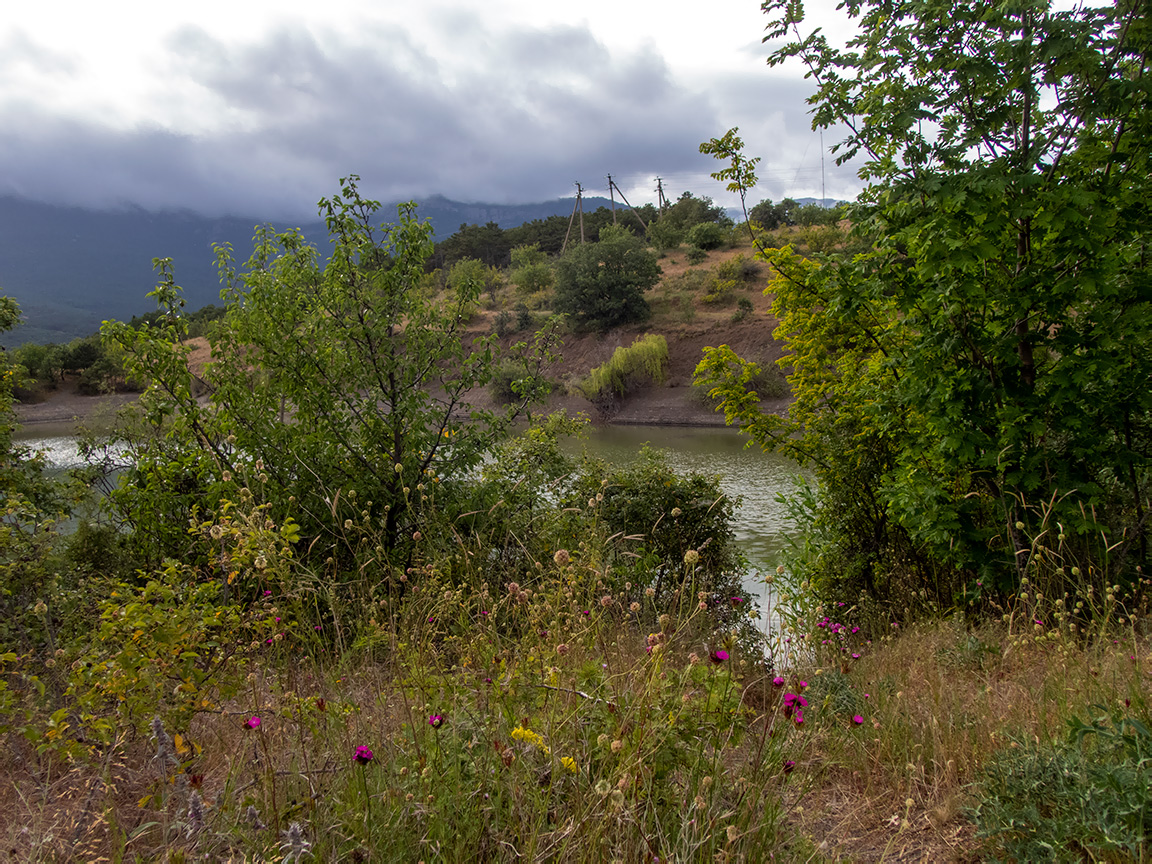 Посёлок Лесной и окрестности, image of landscape/habitat.